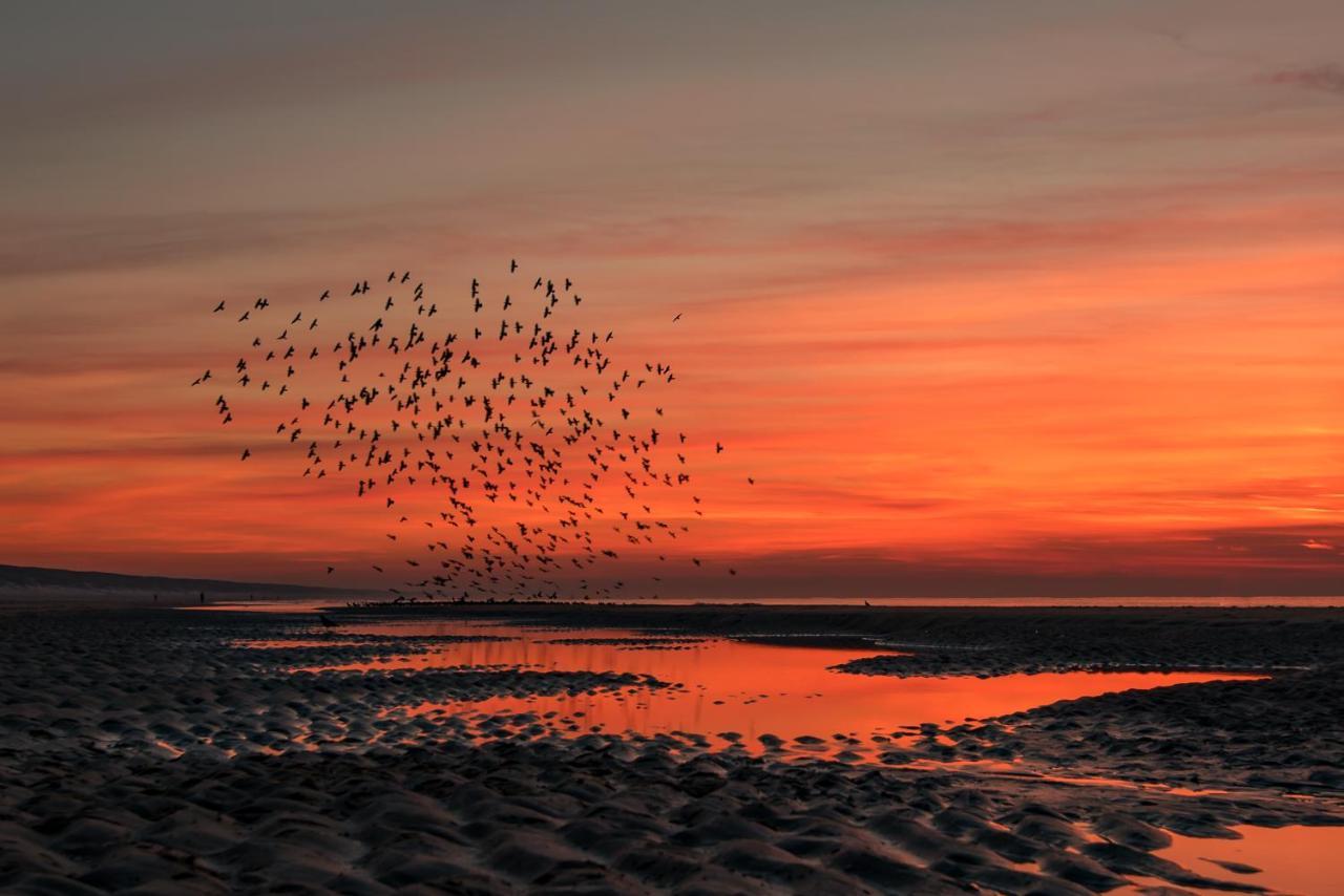 Hoekje Aan Zee Katwijk aan Zee Eksteriør bilde
