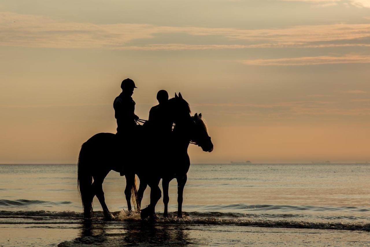 Hoekje Aan Zee Katwijk aan Zee Eksteriør bilde